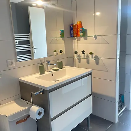 Apartment T2 Avec Acces Piscine Perols